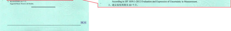 工厂奶茶视频APP成人网站证书报告结果页